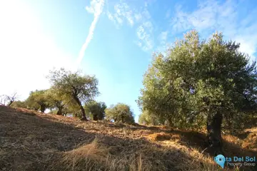 9283m2 Plot for Sale in Tolox-58686