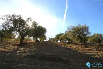 9283m2 Plot for Sale in Tolox-58687