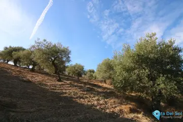 9283m2 Plot for Sale in Tolox-58689