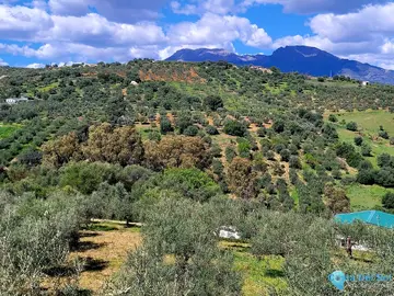 10390m2 Plot for Sale in Guaro-58714