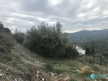 1568m2 Plot for Sale in Frigiliana-58733