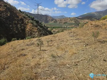 11395m2 Plot for Sale in Casarabonela-58735
