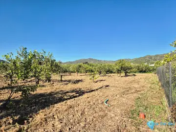6400m2 Plot for Sale in Alora-58756