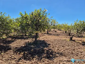 6400m2 Plot for Sale in Alora-58759