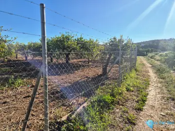 6400m2 Plot for Sale in Alora-58762