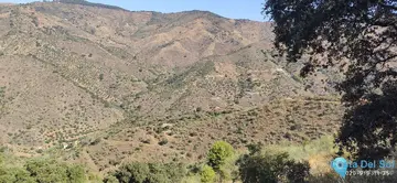 6000m2 Plot for Sale in Monda-58777