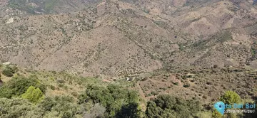 6000m2 Plot for Sale in Monda-58778