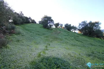 16063m2 Plot for Sale in Tolox-58799