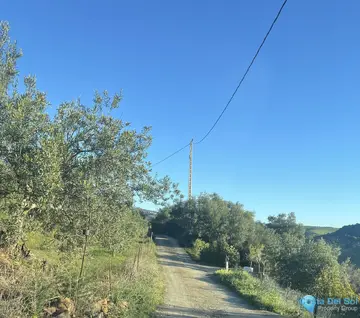 16063m2 Plot for Sale in Tolox-58801