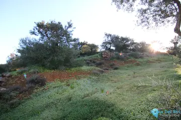 16063m2 Plot for Sale in Tolox-58802