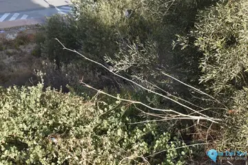 500m2 Plot for Sale in Coín-58825