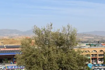 500m2 Plot for Sale in Coín-58834