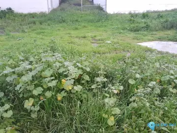 119m2 Plot for Sale in Casares-58866