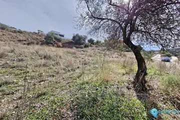 610m2 Plot for Sale in Coín-58921