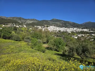 6037m2 Plot for Sale in Casarabonela-58918