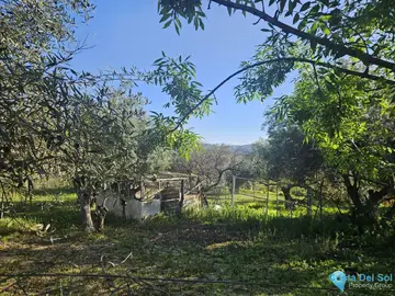 6037m2 Plot for Sale in Casarabonela-58931