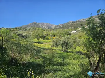 6037m2 Plot for Sale in Casarabonela-58925