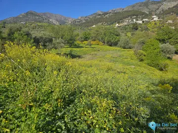 6037m2 Plot for Sale in Casarabonela-58926