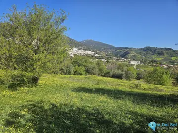 6037m2 Plot for Sale in Casarabonela-58928