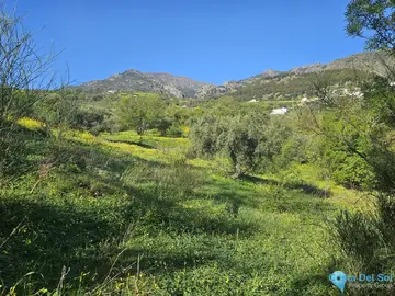 6037m2 Plot for Sale in Casarabonela-58930