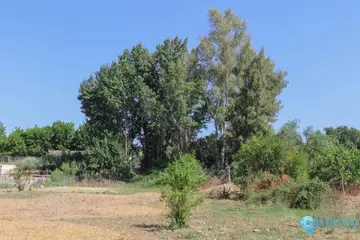 3000m2 Plot for Sale in Coín-58943