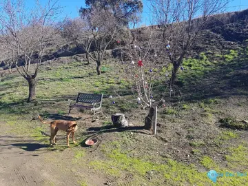 7168m2 Plot for Sale in Ardales-58989
