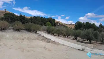 2859m2 Plot for Sale in Casarabonela-59001