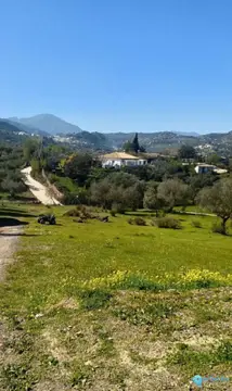 6700m2 Plot for Sale in Monda-59014