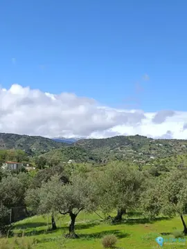 6700m2 Plot for Sale in Monda-59015