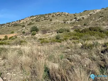 632m2 Plot for Sale in Coín-59073