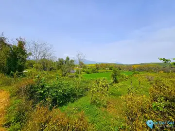 1 bedroom House for Sale in Coín-59078