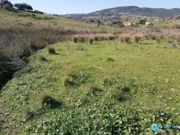 2689m2 Plot for Sale in Estepona-59437