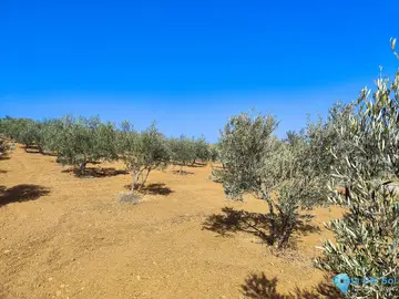 13500m2 Plot for Sale in Coín-59507