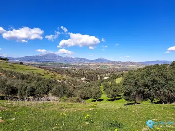 22821m2 Plot for Sale in Coín-59620