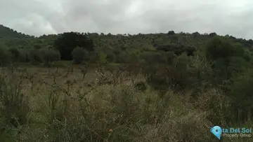 22219m2 Plot for Sale in Coín-59667