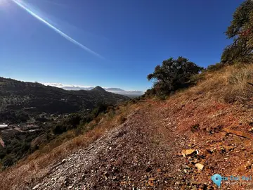 5000m2 Plot for Sale in Málaga-59815