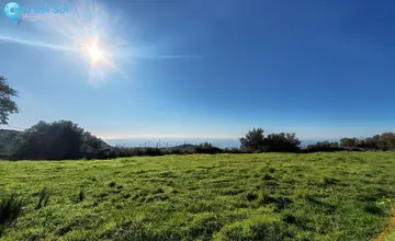 17000m2 Plot for Sale in Marbella-467
