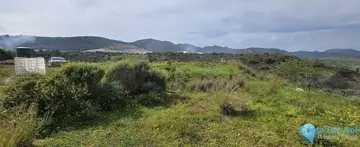 15000m2 Plot for Sale in Coín-60248