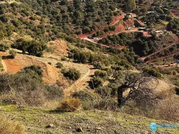 5000m2 Plot for Sale in Málaga-60452