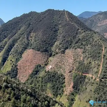 36230m2 Plot for Sale in Monda-60499