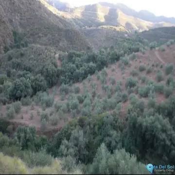 36230m2 Plot for Sale in Monda-60515