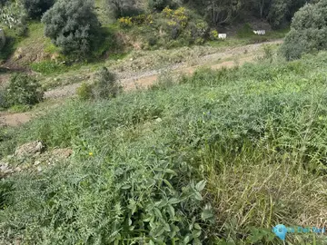 780m2 Plot for Sale in Campo Mijas-60519