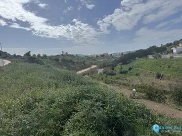 780m2 Plot for Sale in Campo Mijas-60521