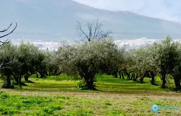 180000m2 Plot for Sale in Alhaurín el Grande-60819