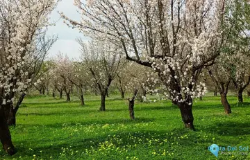 180000m2 Plot for Sale in Alhaurín el Grande-60825