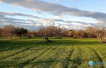 180000m2 Plot for Sale in Alhaurín el Grande-60827