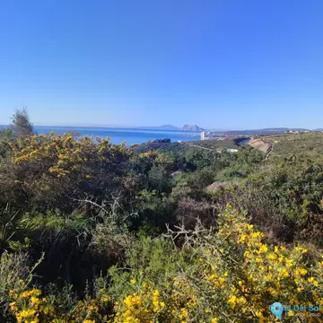 451m2 Plot for Sale in San Diego-60914