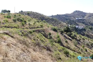47500m2 Plot for Sale in Alora
