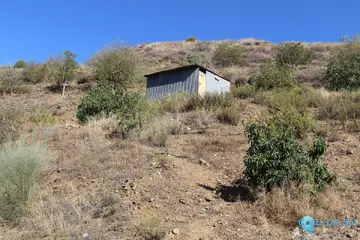 47500m2 Plot for Sale in Alora-60938