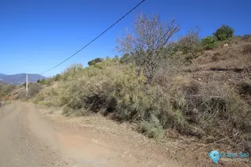 47500m2 Plot for Sale in Alora-60945